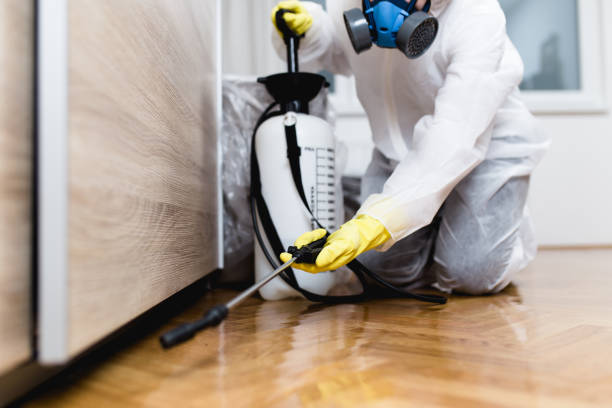 Best Residential Pest Control  in Laurel Hill, VA