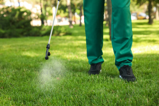 Reliable Laurel Hill, VA Pest Control Solutions