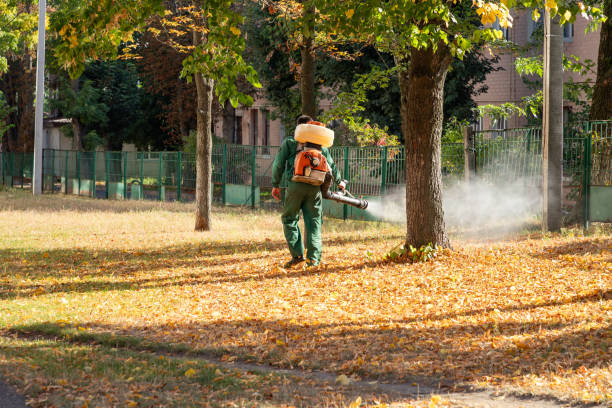Best Ant Control Services  in Laurel Hill, VA