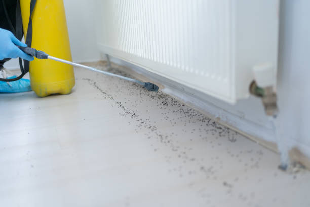 Best Pest Control Near Me  in Laurel Hill, VA